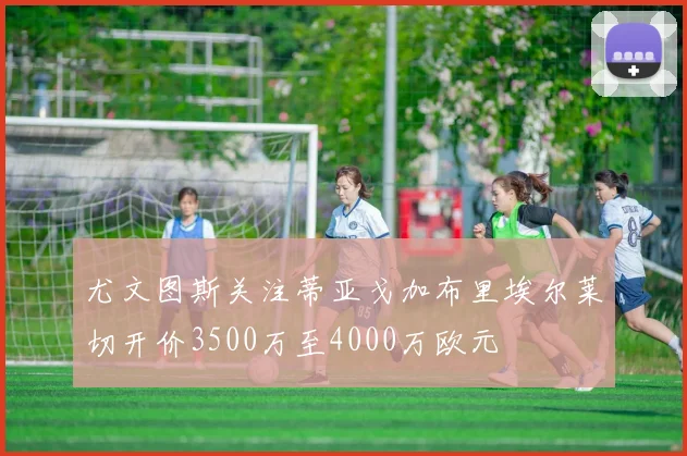 尤文图斯关注蒂亚戈加布里埃尔莱切开价3500万至4000万欧元