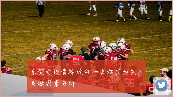 东契奇谈黄蜂致命一击称其为失利关键因素分析